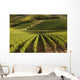 Heart Tuscany with Vineyards Wall Decal