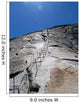 Ascending to Top Half Wall Decal