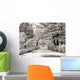 Winter Park Wall Decal