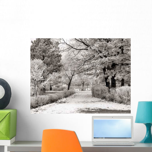 Winter Park Wall Decal