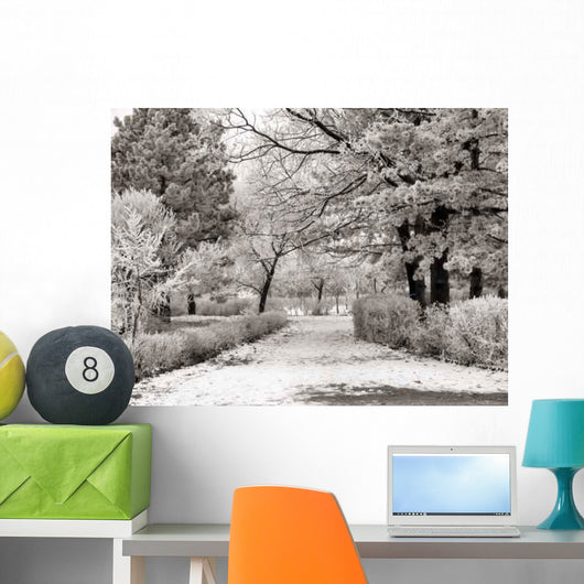 Winter Park Wall Decal