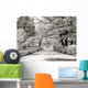 Winter Park Wall Decal