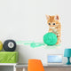 Cute Little Red Kitten Wall Decal Design 2
