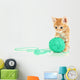 Cute Little Red Kitten Wall Decal Design 2