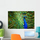 Faszinierender Pfau Wall Decal