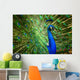 Faszinierender Pfau Wall Decal