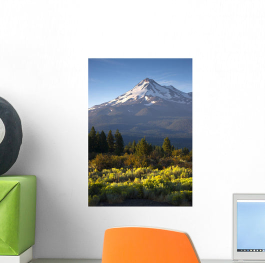 Sunrise Light Hits Mount Wall Decal