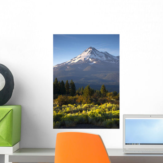 Sunrise Light Hits Mount Wall Decal