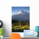 Sunrise Light Hits Mount Wall Decal