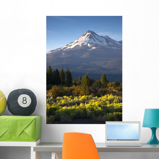 Sunrise Light Hits Mount Wall Decal