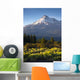 Sunrise Light Hits Mount Wall Decal
