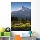 Sunrise Light Hits Mount Wall Decal