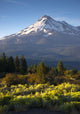 Sunrise Light Hits Mount Wall Decal