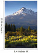 Sunrise Light Hits Mount Wall Decal