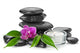 Orchid Wall Decal