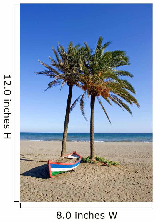 Colorful Rowing Boat and Wall Decal
