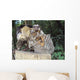Sagui E Sua Prole Wall Decal