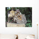 Sagui E Sua Prole Wall Decal