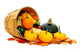 Autumn Vegetables Spilling from Wall Decal