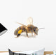 Honeybee Wall Decal