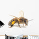 Honeybee Wall Decal
