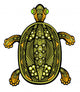 Fancy Turtle Wall Decal