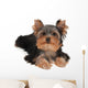 Adorable and Cute Puppy Wall Decal