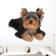 Adorable and Cute Puppy Wall Decal
