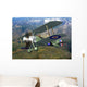 Sopwith Camel Artwork Wall Decal