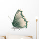 Easy Money Wall Decal