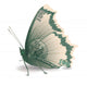Easy Money Wall Decal