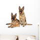 German Shepherd Dogs White Wall Decal