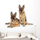 German Shepherd Dogs White Wall Decal