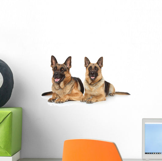 Two German Shepherd Dogs Wall Decal