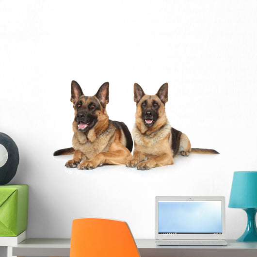 Two German Shepherd Dogs Wall Decal