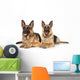 Two German Shepherd Dogs Wall Decal