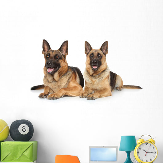 Two German Shepherd Dogs Wall Decal