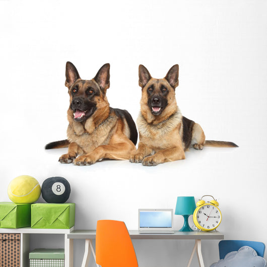 Two German Shepherd Dogs Wall Decal
