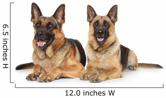 Two German Shepherd Dogs Wall Decal