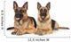 Two German Shepherd Dogs Wall Decal
