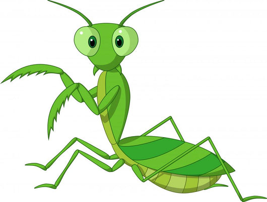 Cute Praying Mantis Cartoon Wall Decal
