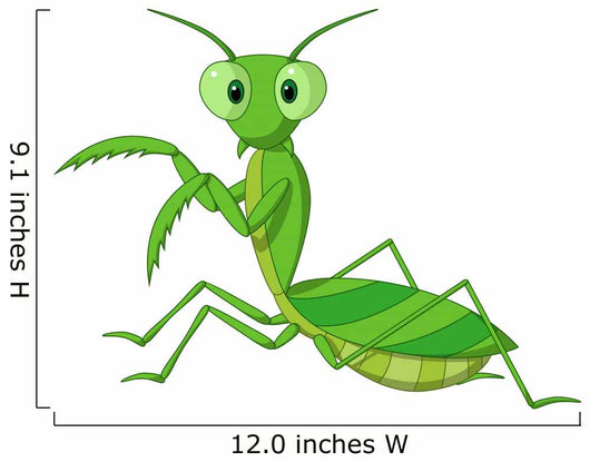 Cute Praying Mantis Cartoon Wall Decal