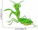 Cute Praying Mantis Cartoon Wall Decal