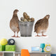 Quail Eggs Wall Decal
