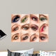 Eye Make-up Wall Decal