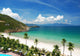 Beach Scene Tropics Pacific Wall Decal Design 1