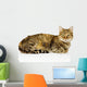 Big Cat Lying Profile Wall Decal