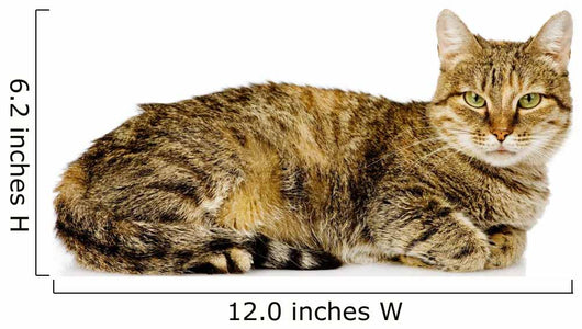Big Cat Lying Profile Wall Decal