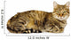 Big Cat Lying Profile Wall Decal