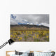 After Rain Atacama Desert Wall Decal